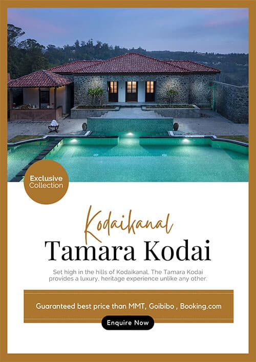 Tamara Kodai Collection