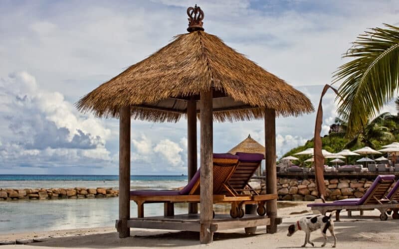 Seychelles Honeymoon Packages